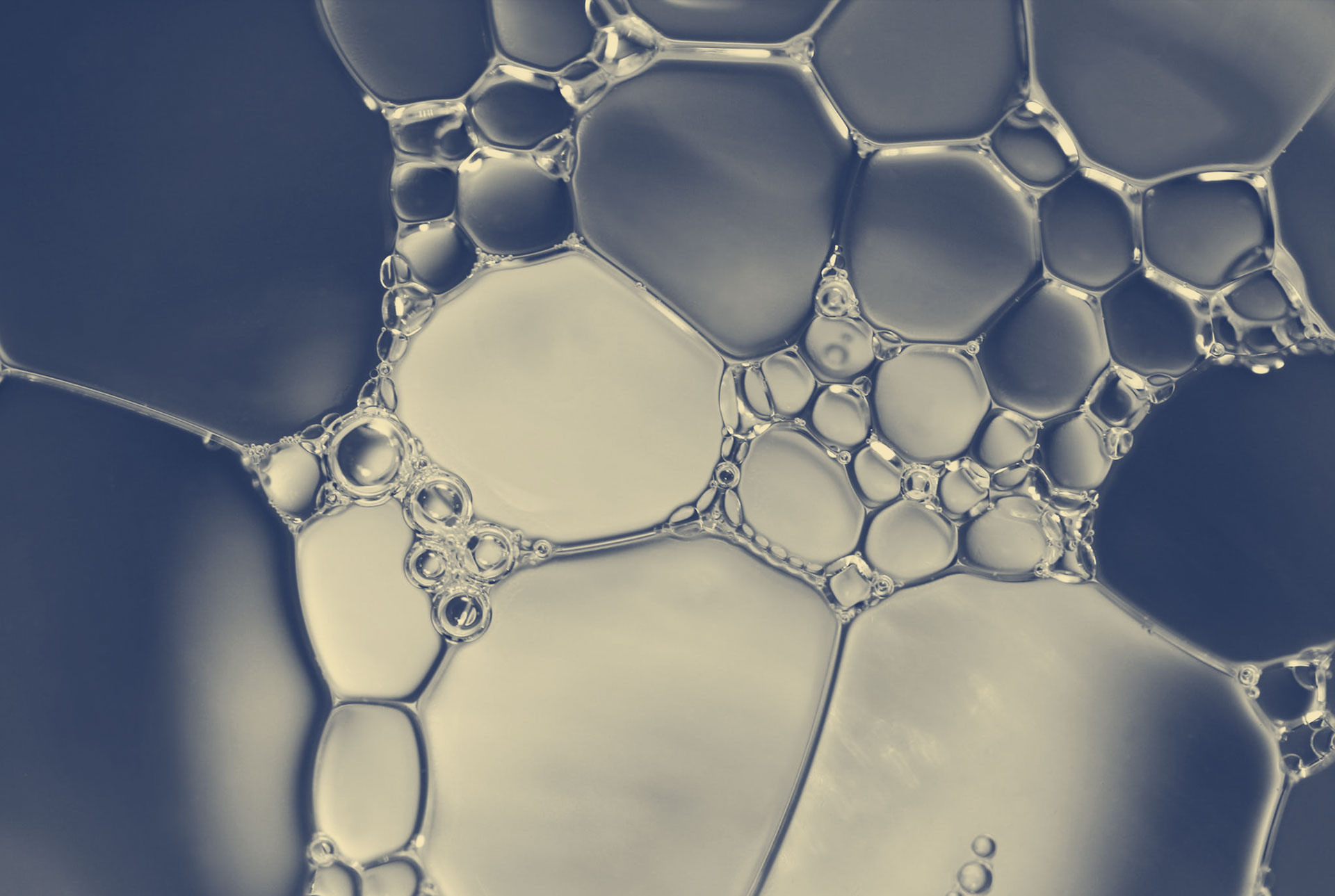 How to build engagement in your Life Sciences workforce