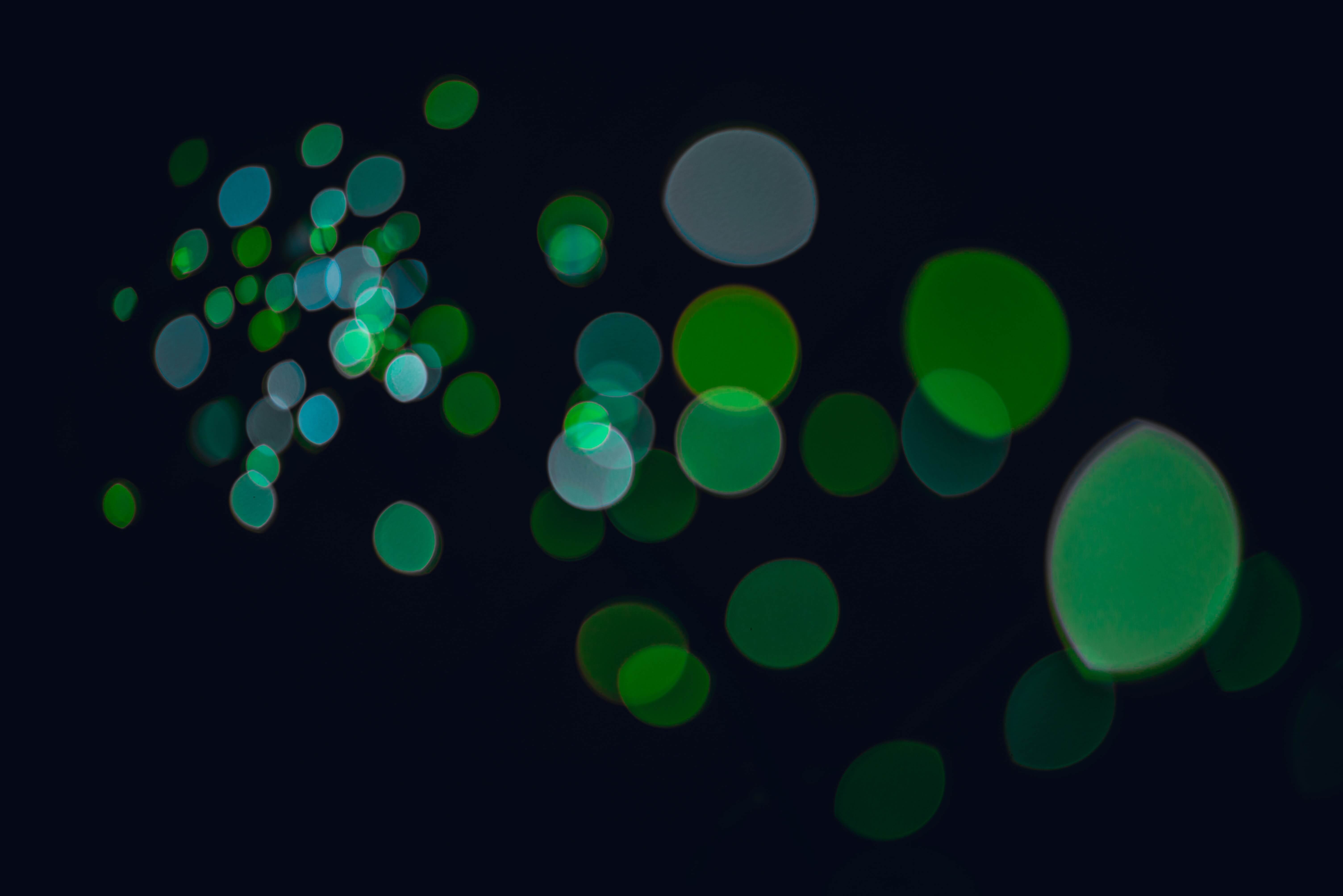 max-kleinen-0ou4CVSoINY-unsplash (1)